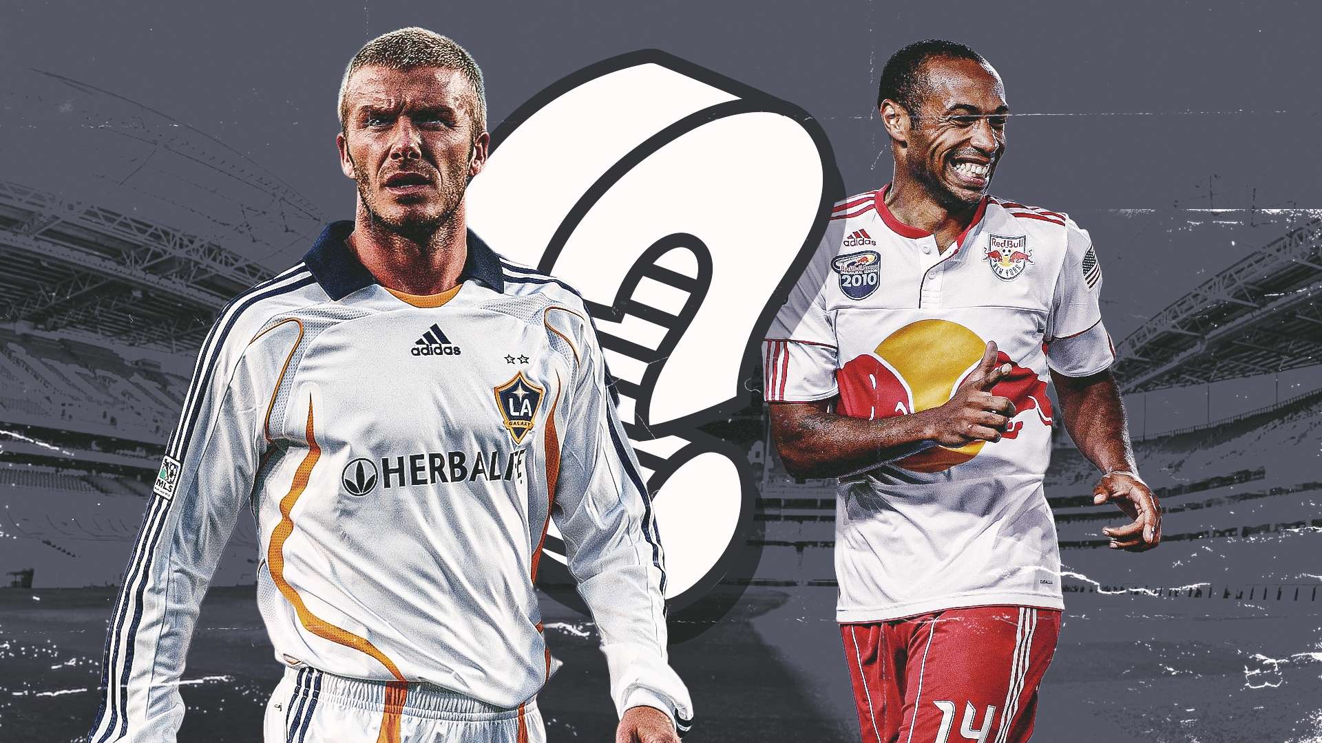 具備極強的 具備極強的