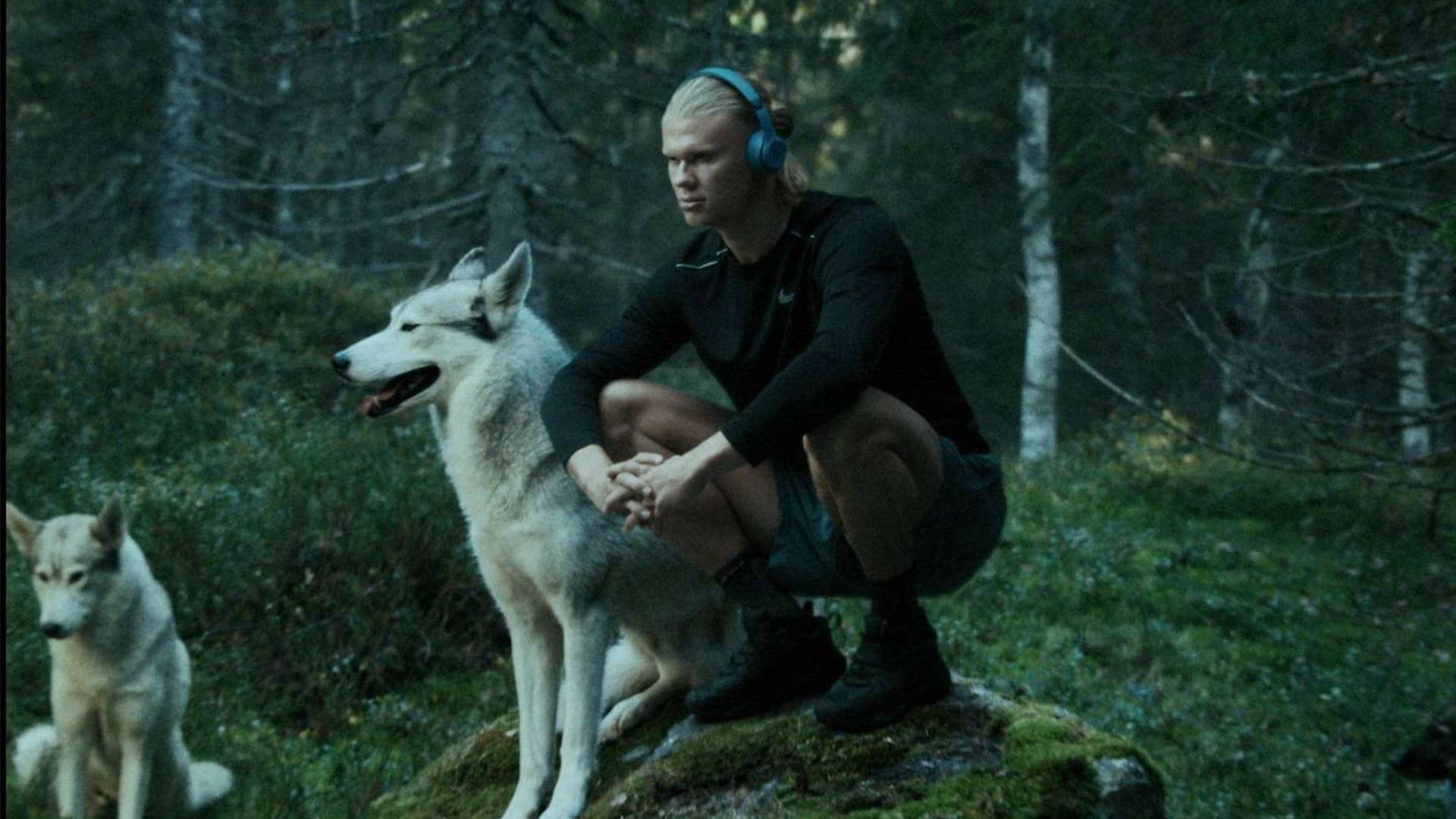 成员的健康 成员的健康